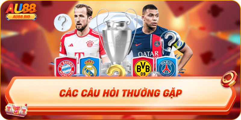 Các câu hỏi thường gặp