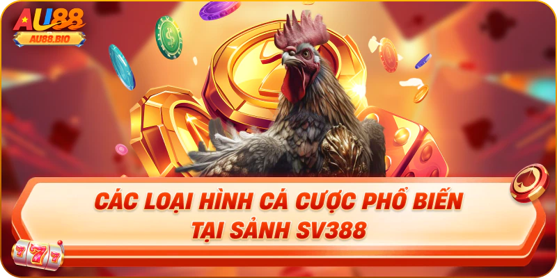 Các loại hình cá cược phổ biến tại sảnh sv388
