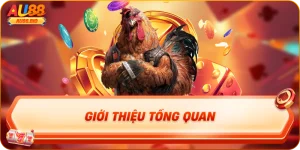 Giới thiệu tổng quan Đá Gà Thomo Au88 