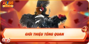 Giới thiệu tổng quan Sảnh WS168 Au88 