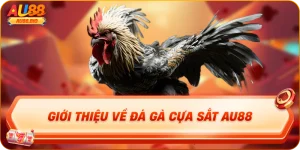 Giới thiệu về đá gà cựa sắt au88