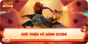 Giới thiệu về sảnh sv388