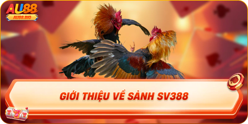 Giới thiệu về sảnh sv388