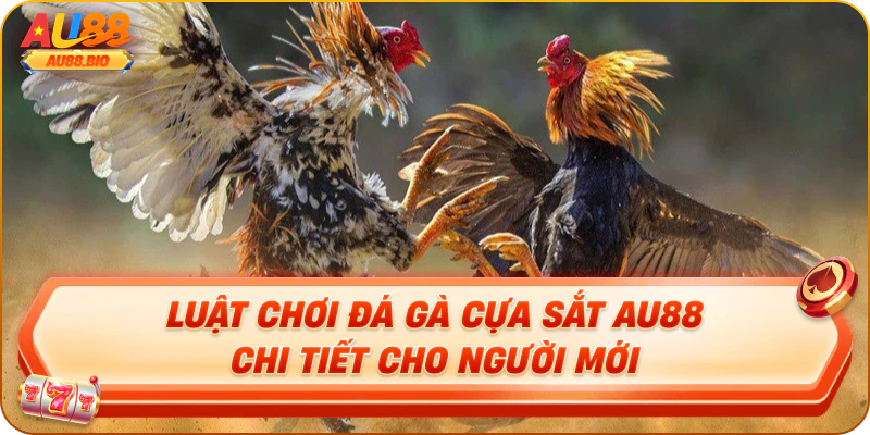 Luật chơi đá gà cựa sắt au88 chi tiết cho người mới