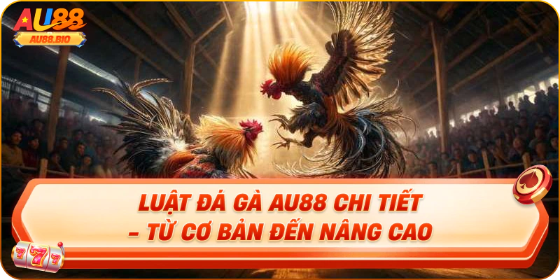 Luật đá gà au88 chi tiết - từ cơ bản đến nâng cao