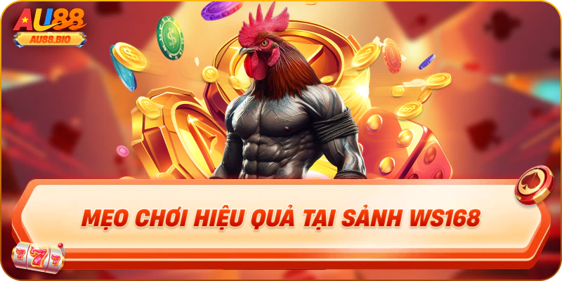Mẹo chơi hiệu quả tại sảnh ws168