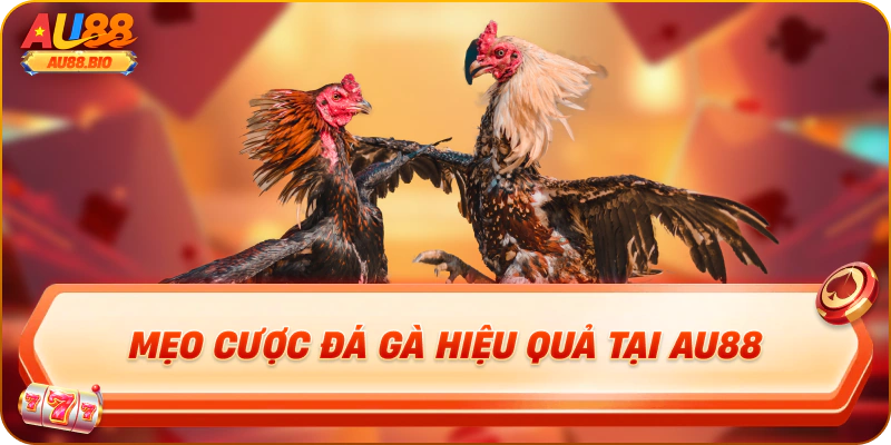 Mẹo cược đá gà hiệu quả tại au88